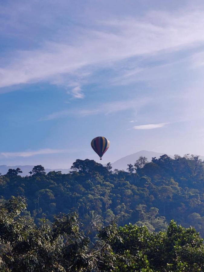Munnar Bnb Bed and Breakfast Buitenkant foto