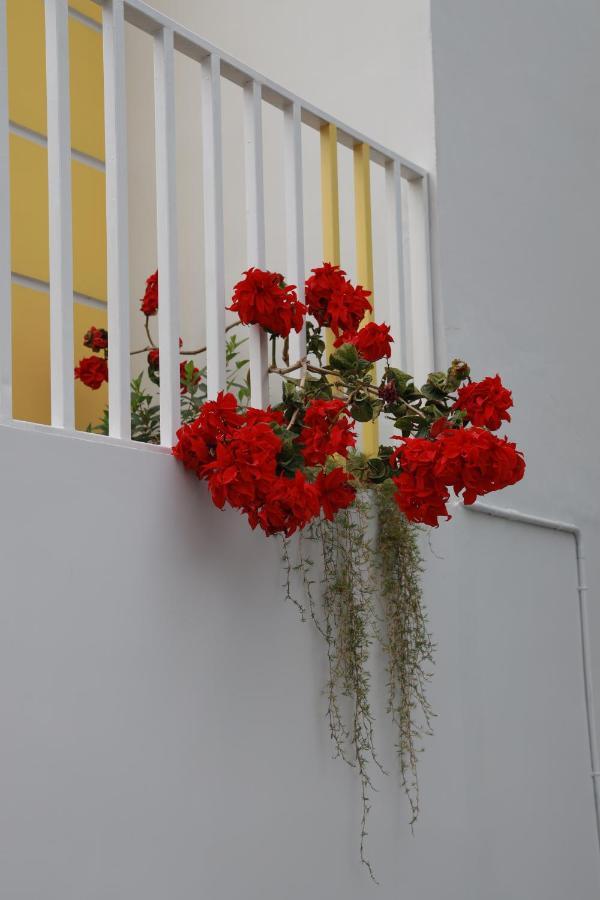 Munnar Bnb Bed and Breakfast Buitenkant foto